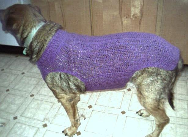 Amy wearing a purple sweater